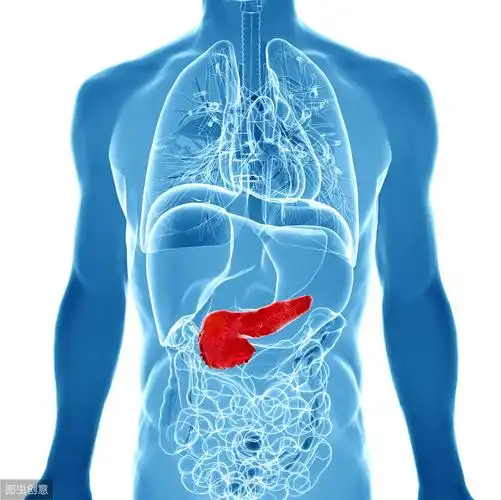 胰腺炎的早期症状图