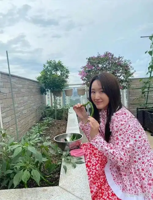 52岁杨钰莹的豪宅火了繁花绿意犬影相伴太治愈