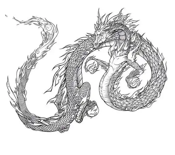 龙纹之青龙|插画|新锐潮流插画|白驹艺_原创作品-站酷zcool