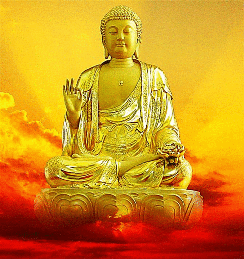 580_617gif 动态图 动图