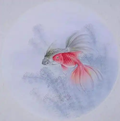 书画联盟丨工笔画金鱼绘画步骤示范教程