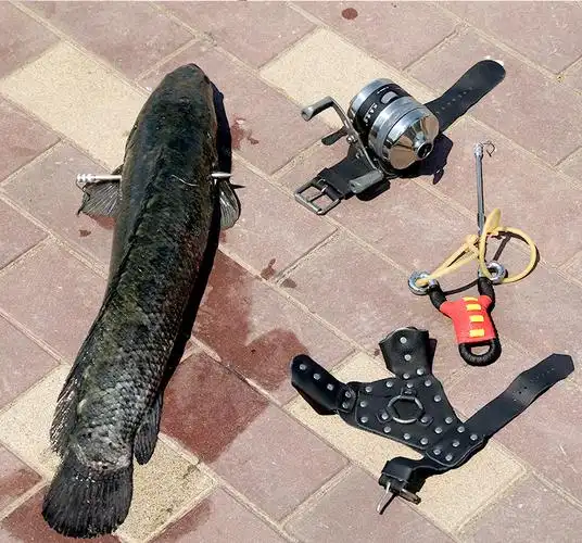 鱼镖射鱼镖套装弹弓打鱼鱼枪弹弓射鱼射鱼器套装打鱼弹弓鱼鳔神器梦达