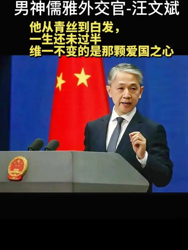男神儒雅外交官汪文斌ministryofforeig一生还未过半民共华人民共和