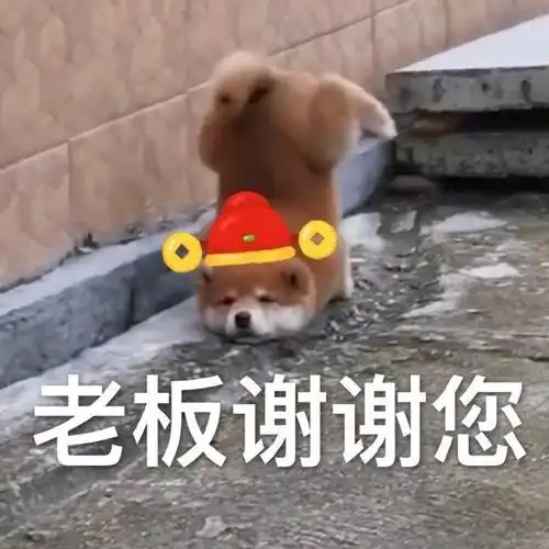 老板谢谢您给您拜年啦表情包