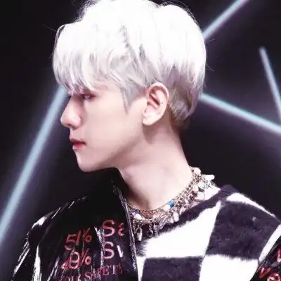 exo边伯贤啵啵虎 银发男神高清壁纸头像