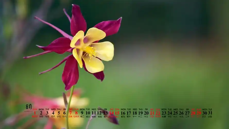 2021年8月好看绿植花草日历壁纸图片