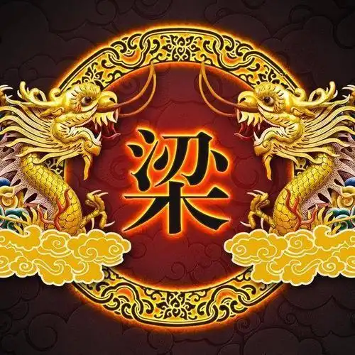 梁姓,是广西第三大姓,在壮族人口中排名也进入到前10位.