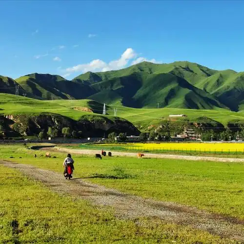 海拔3000米以上的桑科草原,有别于呼伦贝尔,饱含藏族风情.
