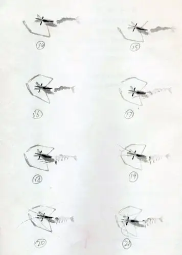 画虾:步骤图中一至十图,用当家笔画(齐白石老人用笔统为羊毫,其中一种