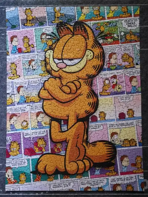 no62aquarius加菲猫