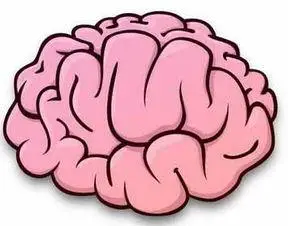 大脑怎么画 红包大脑怎么画