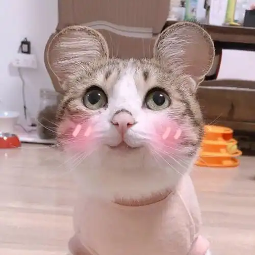 8月7日 12:54   关注  情头 阿萌子 瓜皮 萌萌 评论 收藏