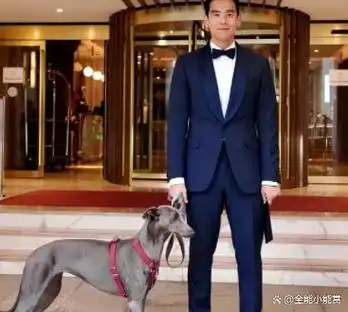 彭于晏的整体造型十分出色,英俊迷人,给人一种稳重大气的感觉.