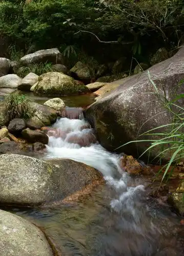 《泉水叮咚》〈2018年〉 山人摄影