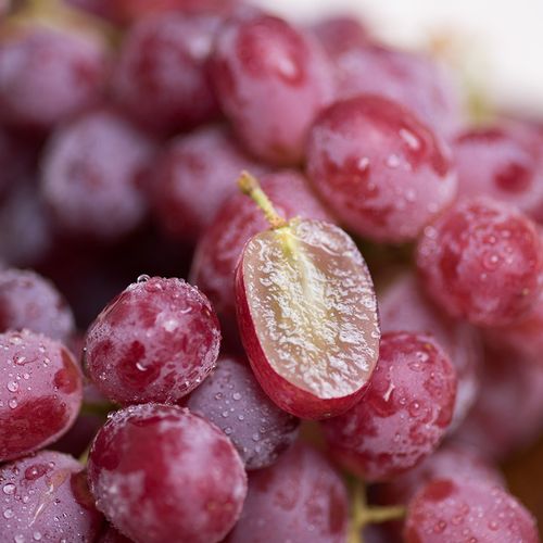 澳洲无籽红提葡萄1kg二人畅享新鲜水果葡萄