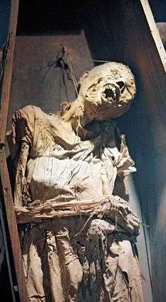 木乃伊"清洁细菌"植入肥胖者体内可减肥