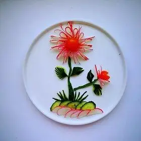 花样蔬菜拼盘的全部作品