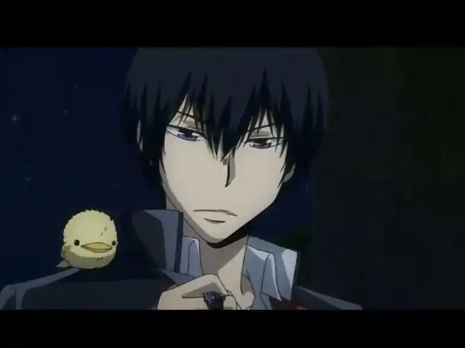 云雀恭弥(根据脑袋上的云豆(鸟的名字)猜的 出自《家庭教师reborn