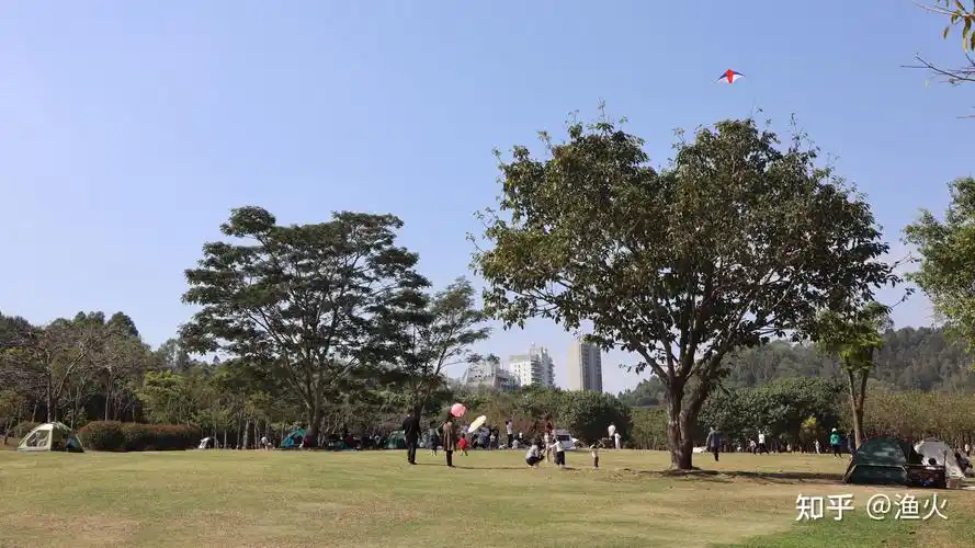 大学里的公园——深圳龙岗中心城大运公园 - 知乎