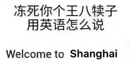 冻死你个王八犊子用英文怎么说,在线等!急!-搜狐大视野-搜狐新闻