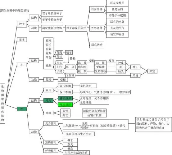 初中生物专题思维导图20张完整版通儒公考圈精制免费共享