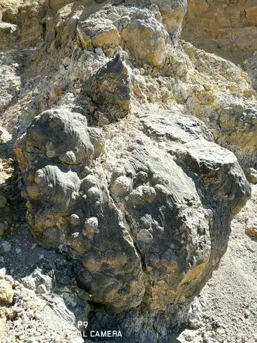 其它 火山蛋 写美篇自己科普一下:火山蛋是火山喷发