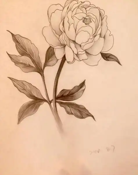 铅笔画简单又好看铅笔画简单又好看的画