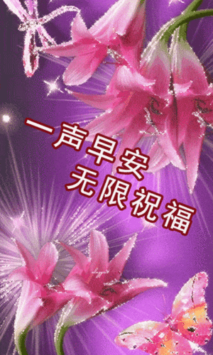 大家早上好表情图早安心语正能量句子晚上好的问候