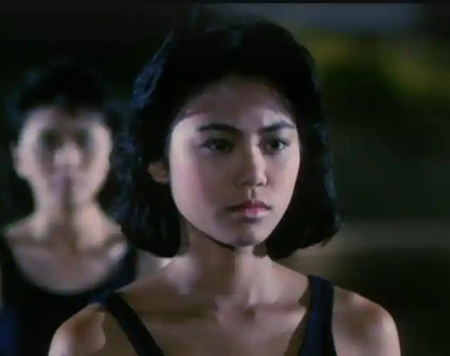 原创老港片霸王花你还记得吗那些英姿飒爽的女警们现况如何了呢