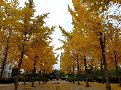 我们小区福海花园,春暖花开,春意盎然. - 美篇