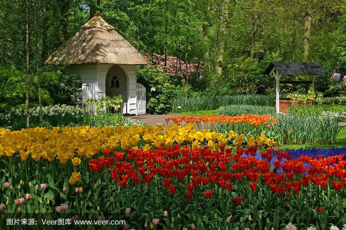 丰富多彩的春天花园
