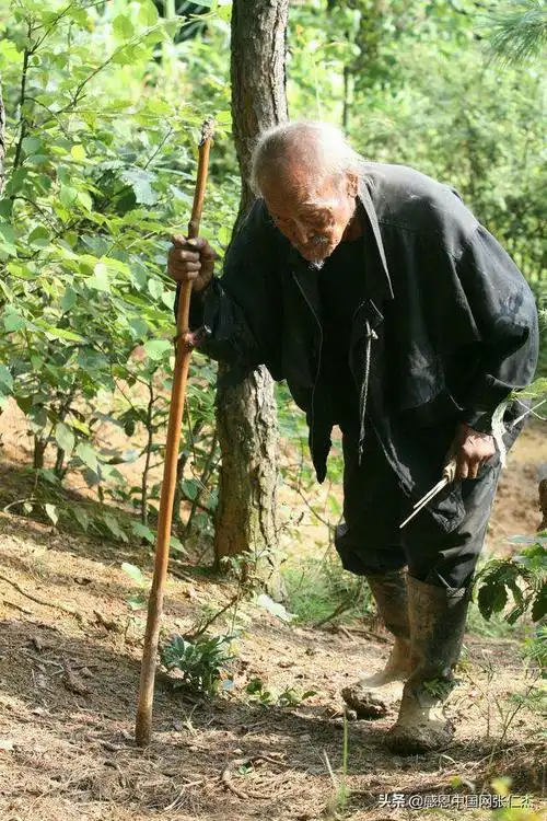 农村老年人的生活