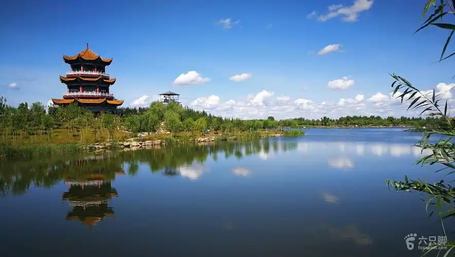 大安老坎子湿地公园.