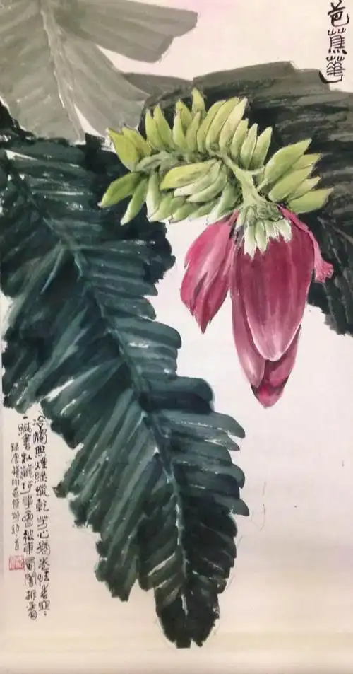 国画芭蕉和芭蕉花