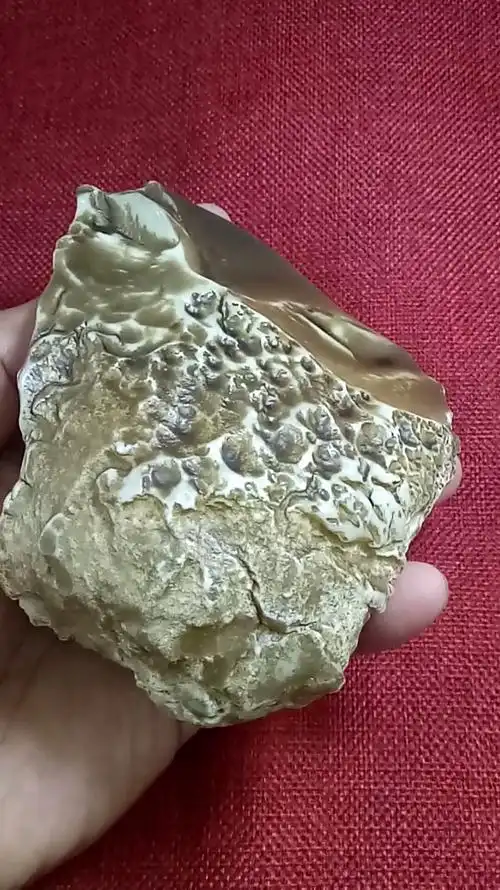 超级巨无霸地表蛋白原石#地表蛋白原石