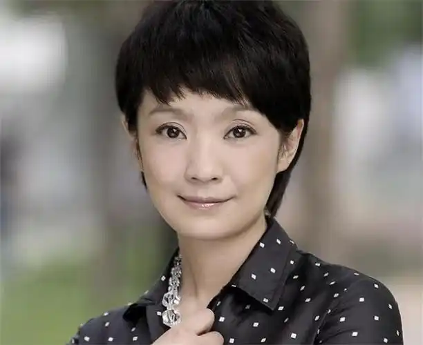 张嘉译的老婆王海燕照片