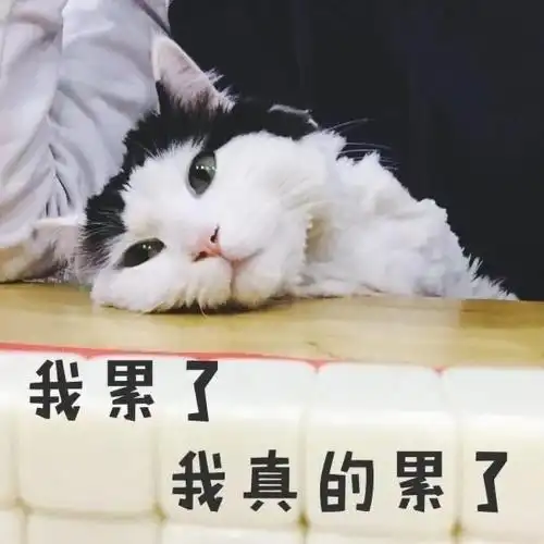 919觉得累怎么办