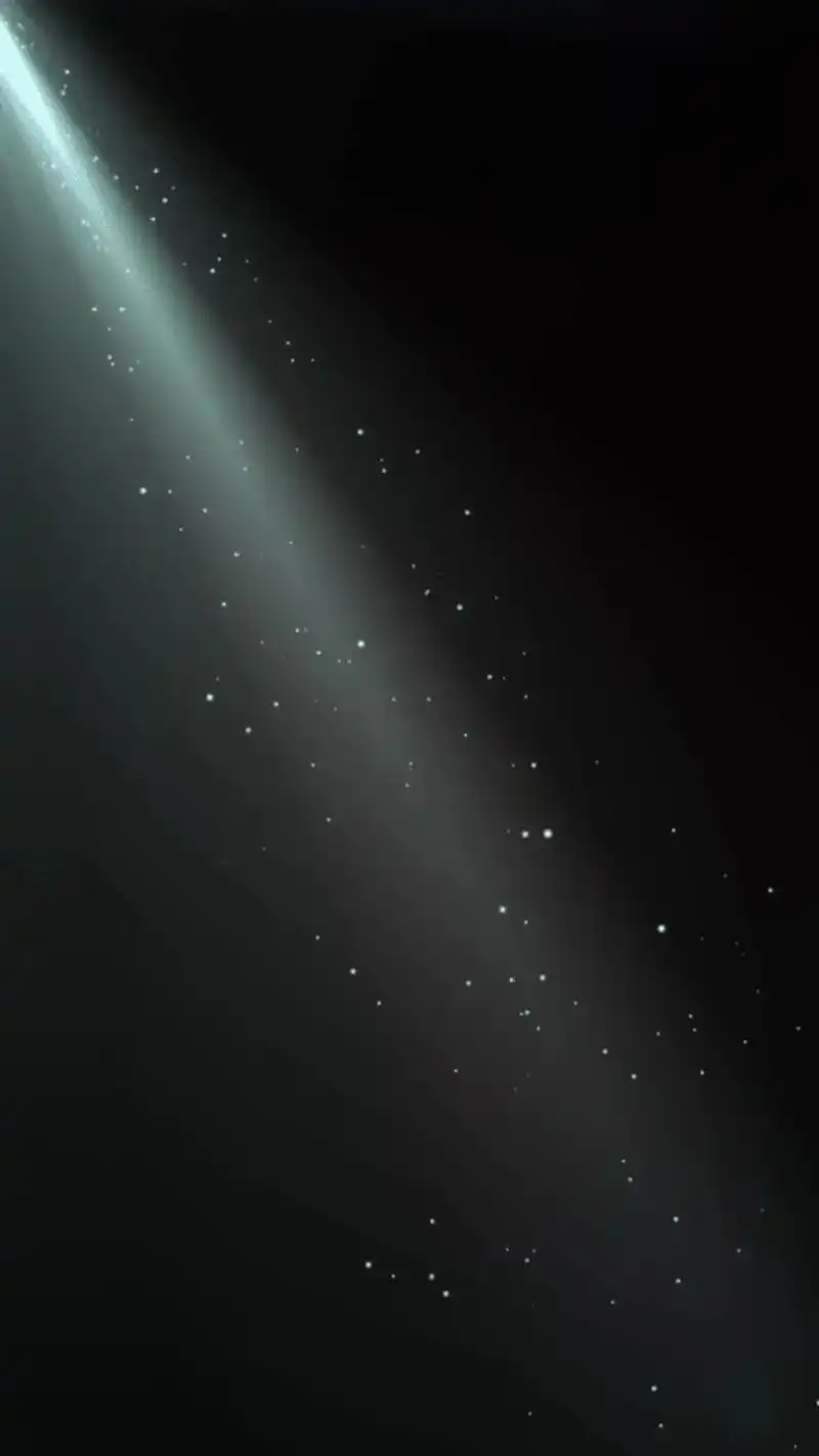 当一束光走进黑暗,那么这束光便是有罪