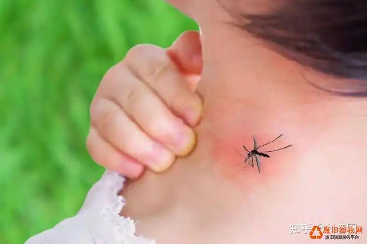 嗡嗡作响,无孔不入的蚊子,给我们带来了无尽的烦恼,被蚊子叮咬过的