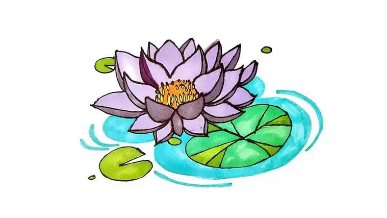 笔画怎么画漂亮的睡莲怎么画睡莲的画法简笔画-巧巧简笔画睡莲怎么画