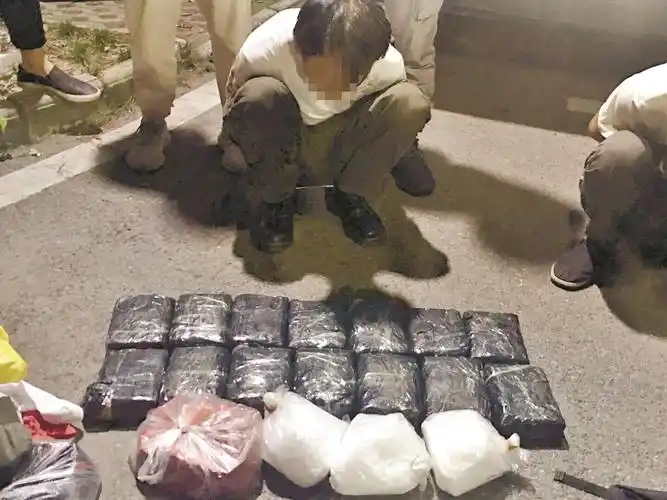 运13吨芒果掩护15公斤毒品毒贩借绿色通道运毒民警张网以待成功缉捕