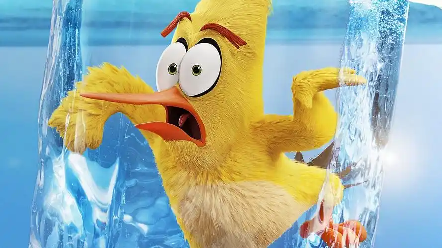 愤怒的小鸟2 the angry birds movie 2 (2019),高清图片,壁纸,其他-桌