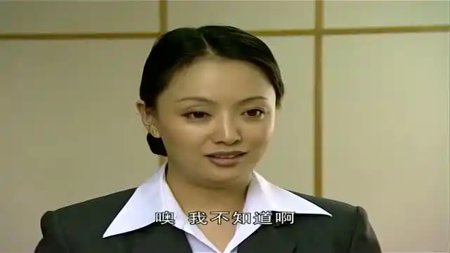 插翅难逃·郭金凤为张世豪偷绝密资料,撒谎欺骗公司经理!