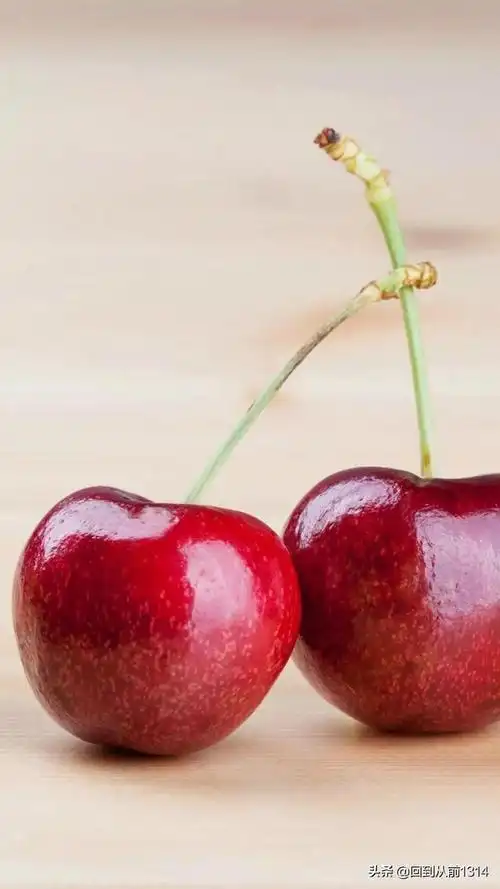 最漂亮的水果(最漂亮的水果图片)