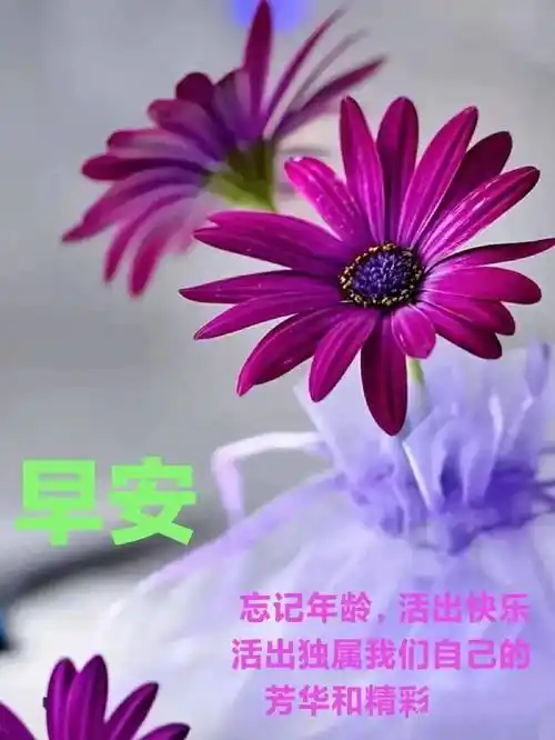 早上好问候表情图带字8张,推荐关心亲友的早安祝福心语句子_心情_生活