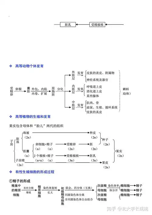 高考状元的高中生物知识框架图