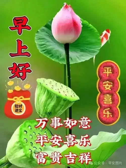 四早上好问候祝福动态表情图片大全周四最新早安问候语动态图片表情