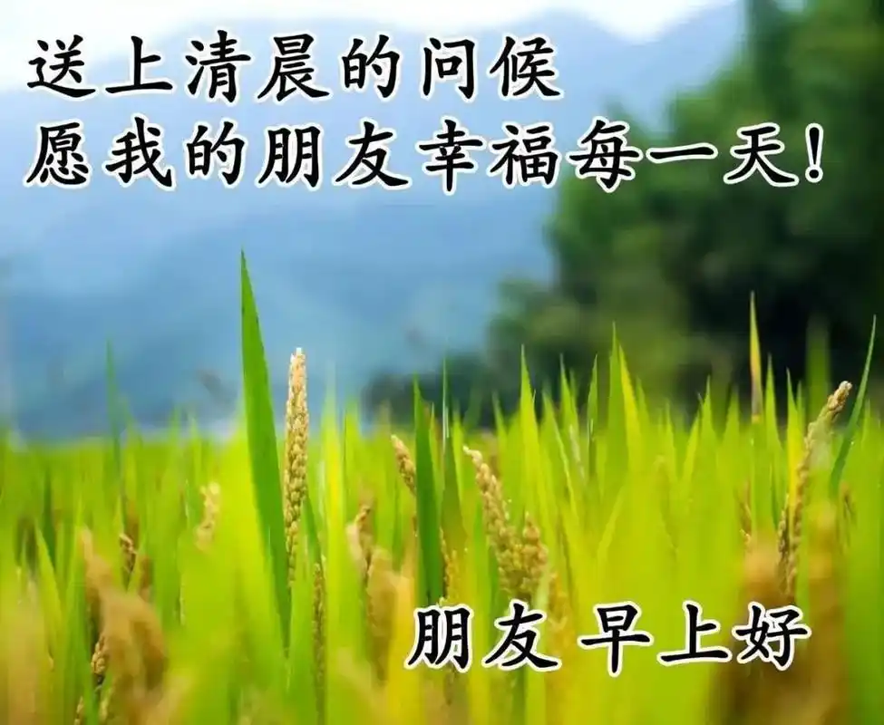 早安纯风景图片带祝福语 ,早上好风景图片带字温馨 1,有的人真心为你