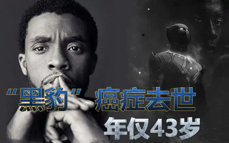 漫威黑豹43岁癌症去世,黑豹2原定明年开拍,可瓦坎达再无国王!