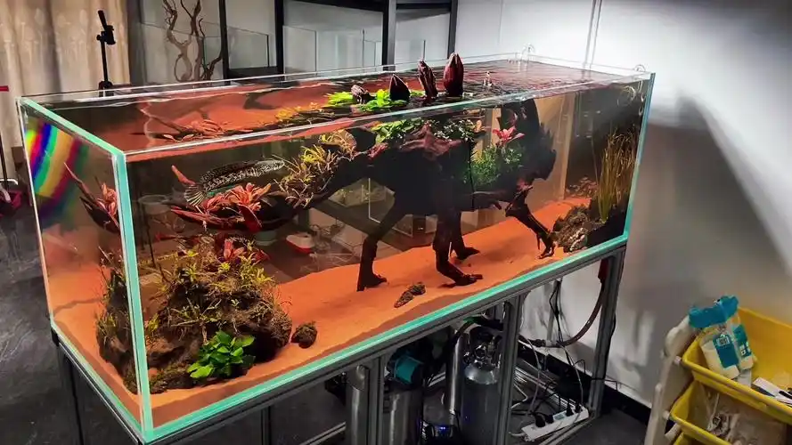 玻璃缸中的大自然南美缸恐龙沉木草缸造景雷龙鱼